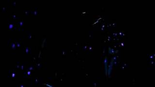 The Fiery Furnaces - 6/11/09 - Charmaine Champagne