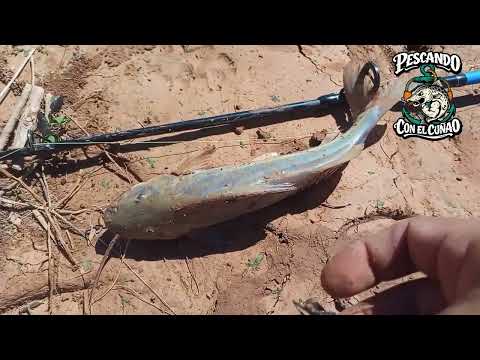 Pesca en el RIO SAN FRANCISCO Yuto Jujuy hoy Toco Patear Hasta La Junta