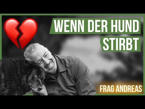 When your dog dies... 😞 What should you do? #AskAndreas