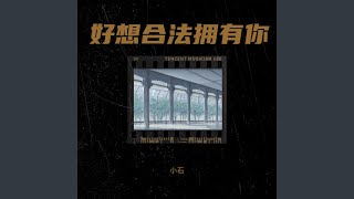 Download lagu 好想合法拥有你 mp3