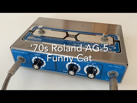 Roland AG-5 Funny Cat '70s – tenokuni-japan