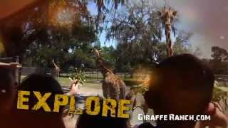 preview picture of video 'Giraffe Ranch - TV commercial'