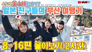 (요청)일본 친구들과 부산여행 8-16편 몰아 보기 2일차 - 애니악TV