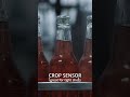 Full Frame VS Crop Factor