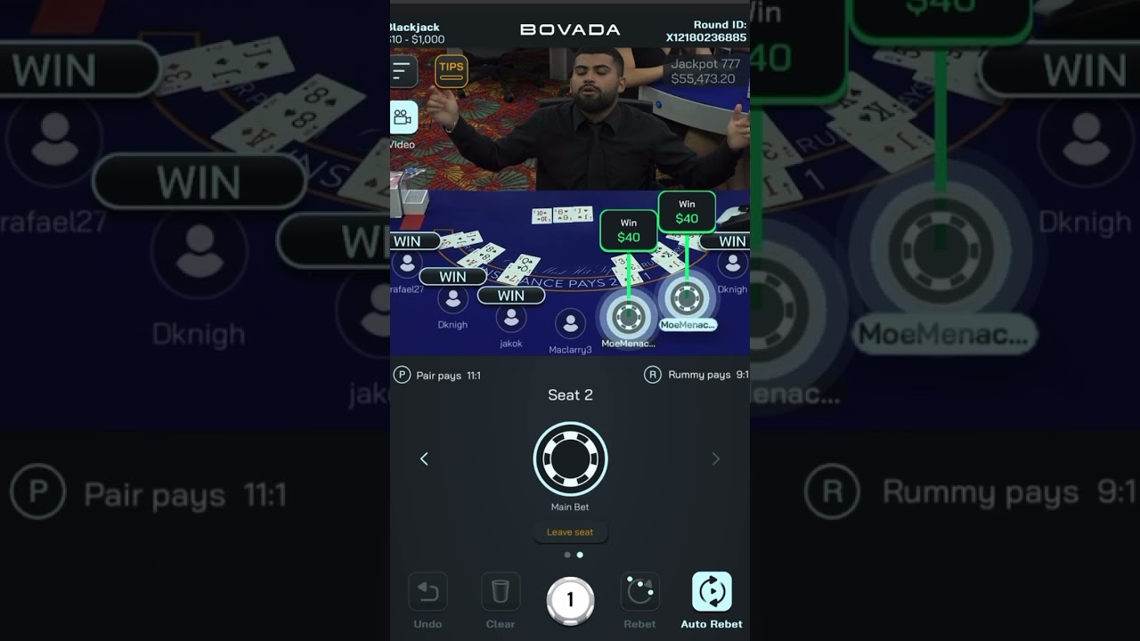 “Suiiiii” 😂 #blackjack #bovada #casino #gambling #stake #betting #poker #fun #comedy #dedication