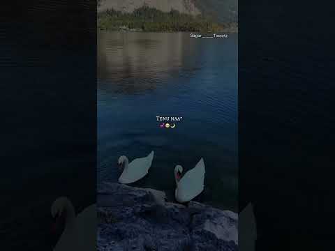 Ikk Pal – Ammy Virk | Heart-Touching Punjabi Song | Official Audio