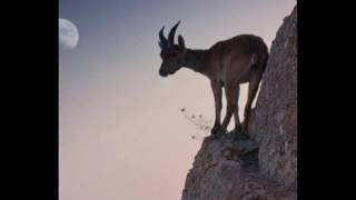 Too Much Sauce - Dopeboy