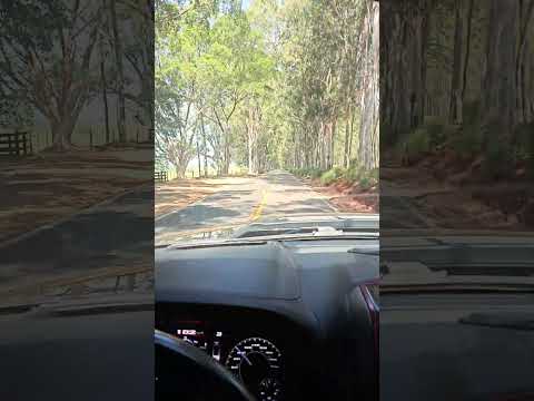 Antonella Aventureira - pelas estradas do Paraná PR - Itaguajé PR #shorts