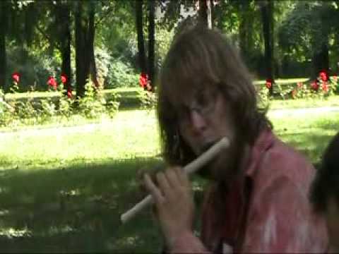 Krumplipapricash - Trepot motýlich krídel