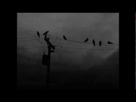 Cycerin - Wet Asphalt (NewGrounds)