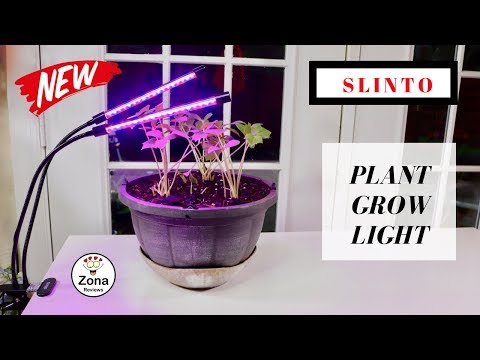 , title : 'PLANT     ❤️   Grow Light - Review   ✅'