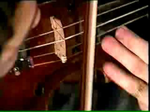 The 5 DeViLs - Live from Argentina (The Lark)