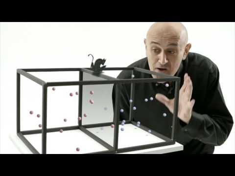 Order & Disorder: The Story of Information -Maxwells Demon