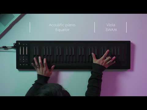 Seaboard RISE x SWAM & Camelot Pro