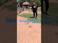 Tools Plowing Garden Trending Viralvideo Shorts Funny History Video Texas Pioneer Cattle
