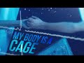 Multifandom|| My Body Is A Cage 