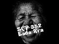 SCP 352 Баба Яга 