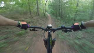 Smooth Operator, Ridgeway Park, Georgia.