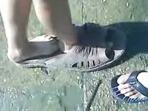 Descoperire la sonda in Beba-veche