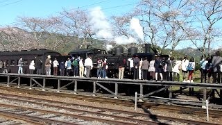 preview picture of video '大井川鐵道 SLかわね路2号(C56 44牽引)@家山到着'