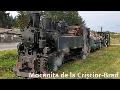 Mocănița de la Crișcior - Brad