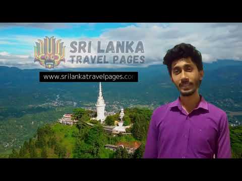 Co Founder, Sri Lanka Travel Pages, Ravindu Dilshan Illangakoon Success note on ASIA Awards-SriLanka