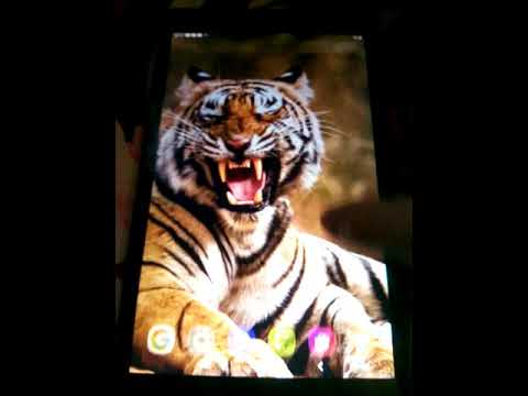 Играю в бравл Старс на планшете