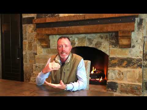 What to do during your foal’s first week | An equine doctor explains with you.