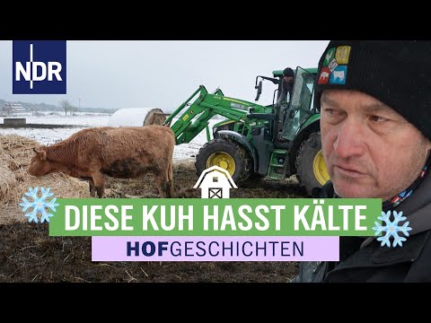 Wenn die Biogasanlage friert, wird's kritisch | Hofgeschichten (368) | NDR