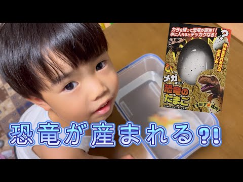 最初の恐竜の卵は柔らかかった