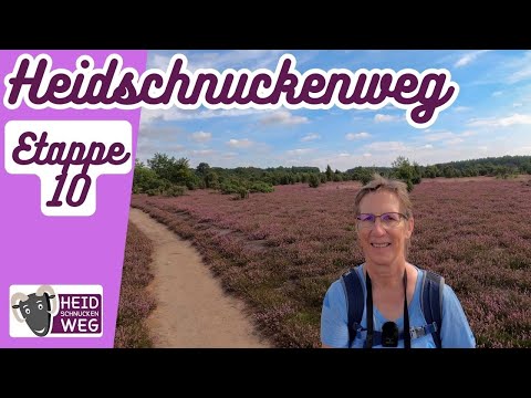 🐏Heidschnuckenweg🥾 Etappe 10 - von Fassberg zur Oberoher Heide