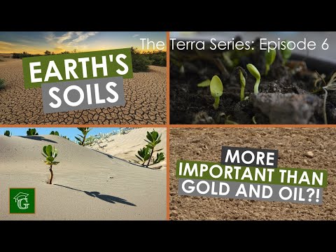 Earth's Soils (MUST-KNOW Basics)