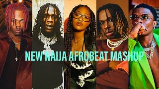 Naija Afrobeat Mix _ Oxlade, Ayra Starr, Rema, Ruger, Asake, Burna Boy Kulosa