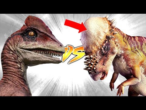 Pachycephalosaurus VS Deinonychus [Who Would Win?]