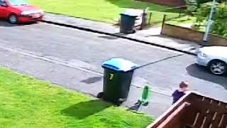 Kid's Toy Bin Gets Disposed Of By Bin Men