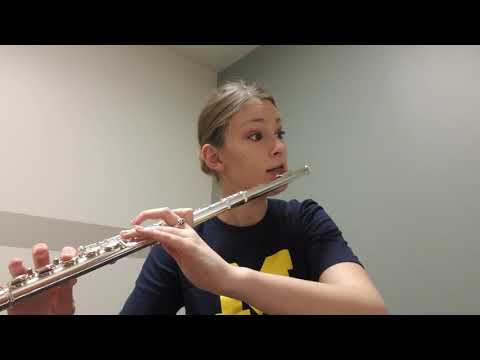 Concertino (Part I- Cecile Chaminade)