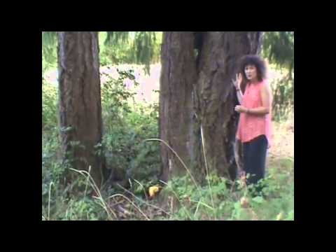 Earth Ways with Sonja Grace: Earth Energy