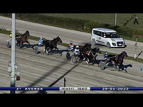 Aversa trotto 29 Gennaio 2022 - 2° Corsa