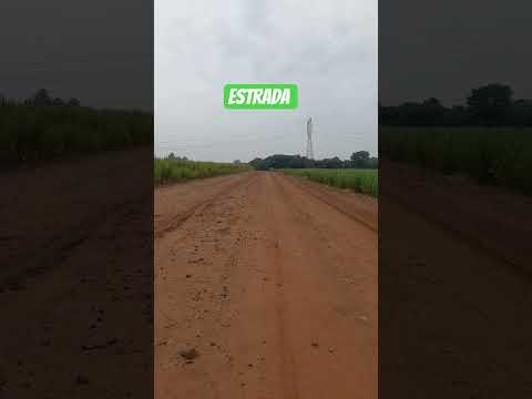 #viral_video #estrada e canavial bora Araraquara são Paulo #shorts #brasil