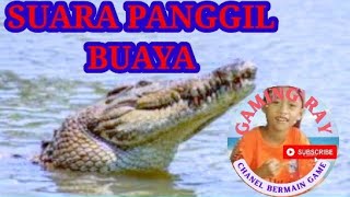 Download lagu Suara Panggil Buaya mp3
