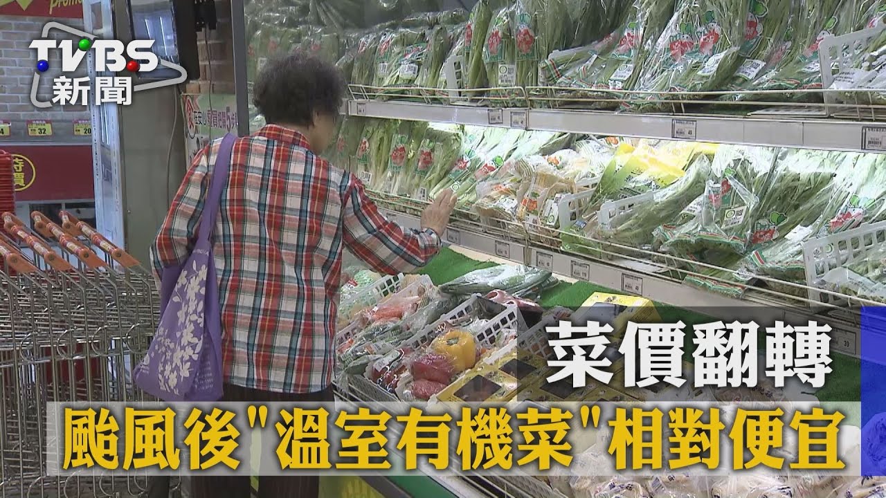 菜價翻轉! 颱風後溫室有機菜竟相對便宜