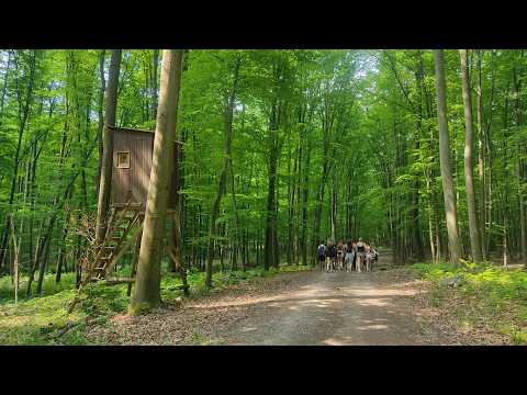 Kurz LPA 206 - deň prvý