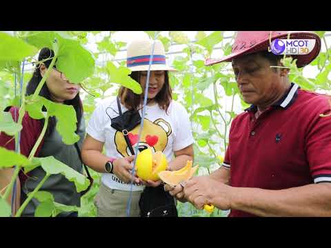 รักษ์ผืนดินถิ่นส.ป.ก. ปี๒/ตอนที่๑๒. เรื่องฟาร์มลุงแดง แหล่งท่องเที่ยวเชิงเกษตรและแหล่งเรียนรู้การทำเกษตรสมัยใหม่ 