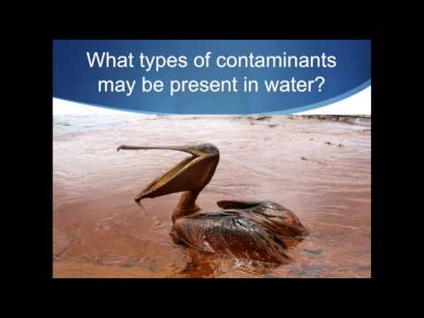 Water Pollution: Causes and Consequences