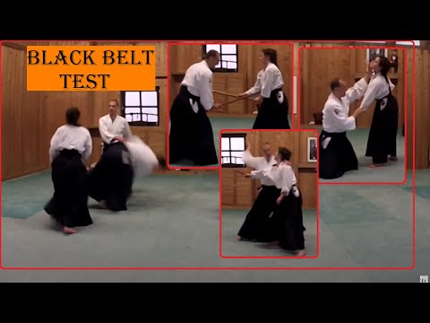 Sandan (3. Dan) Black Belt Test Aikido - Auditor Toshiro Suga Shihan and Pierre Congard