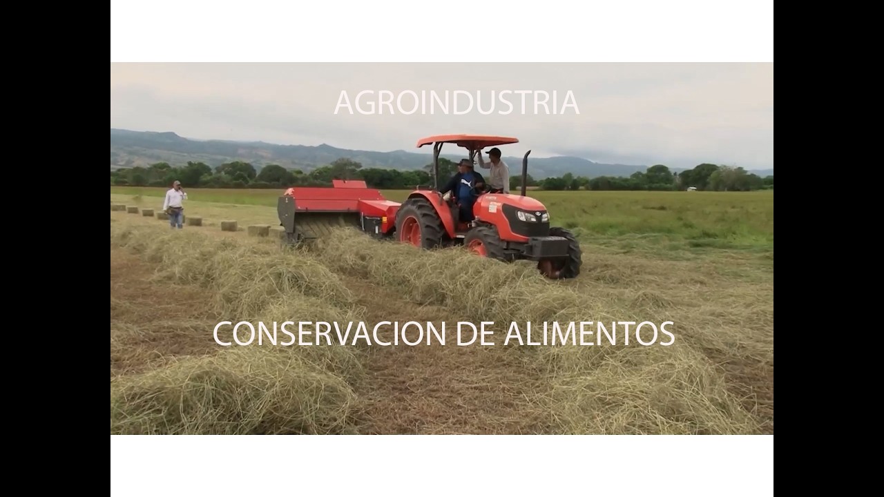 PRODUCCIÓN DE HENO   TOLIMA CAP2