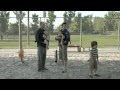 The Clorox Company Clorox Bleach I M Going Daddy Commercial 2011