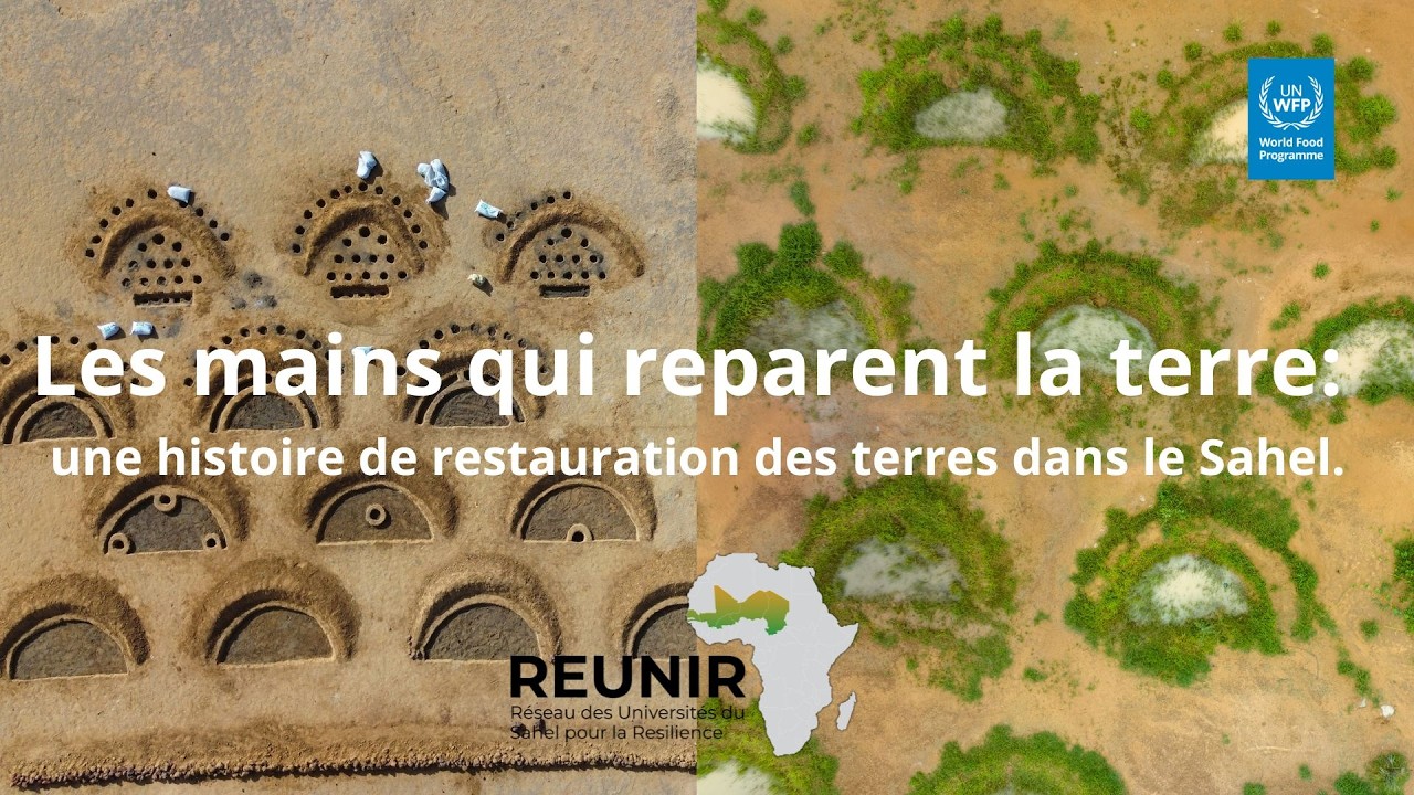 Les mains qui reparent la terre: une histoire de restauration des terres dans le Sahel.