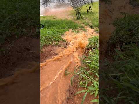 Chuva no Sertão de Tanque Novo-BA 02/12