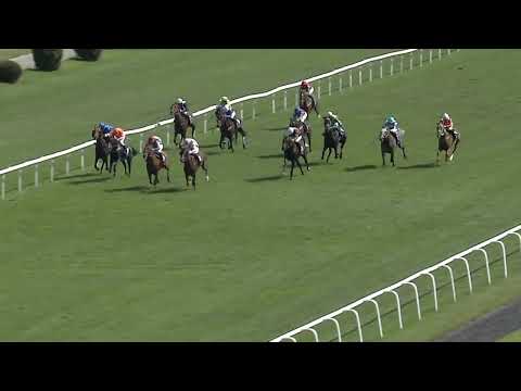 CH - 27.6.2021 - 7. dostih - 2. MEMORIÁL TOMÁŠE ŠATRY